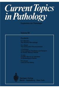 Current Topics in Pathology / Ergebnisse Der Pathologie