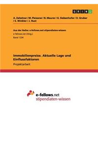Immobilienpreise. Aktuelle Lage und Einflussfaktoren