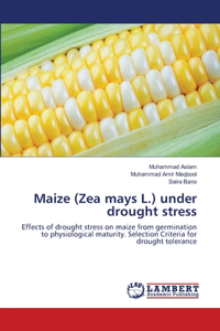 Maize (Zea mays L.) under drought stress