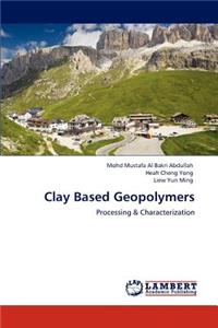 Clay Based Geopolymers