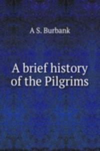 brief history of the Pilgrims