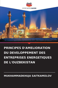 Principes d'Amelioration Du Developpement Des Entreprises Energetiques de l'Ouzbekistan