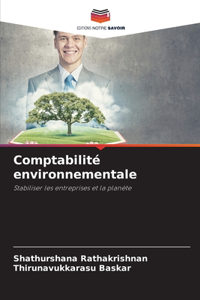 Comptabilité environnementale