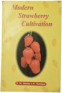 Modern Strawberry Cultivation