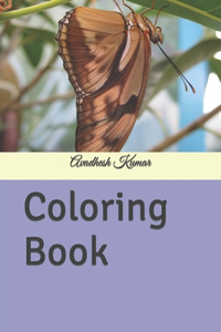 Coloring Book