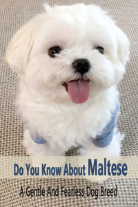 Do You Know Maltese