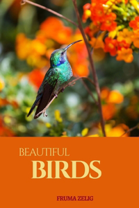 Beautiful Birds