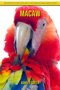 Macaw