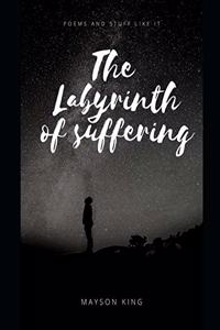 The Labyrinth of Suffering