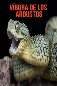 Víbora de los arbustos