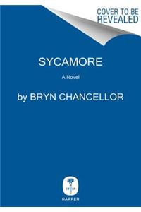 Sycamore