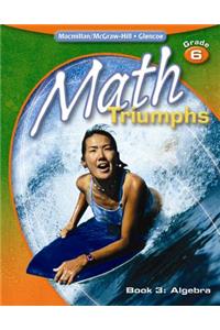 Math Triumphs, Grade 6 Book 3