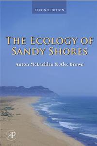 The Ecology of Sandy Shores