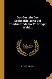 Gestein Des Seebachfelsens Bei Friedrichroda Im Thüringer Wald ...