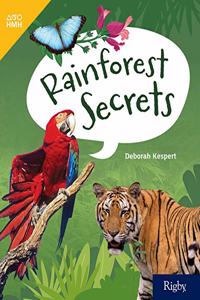 Rainforest Secrets