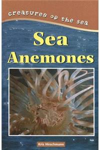 Sea Anemones