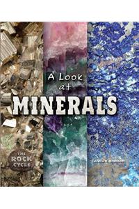 A Look at Minerals