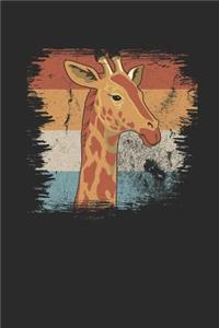 Giraffes