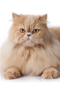 Persian