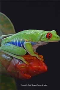 Grenouille Yeux Rouges Carnet de notes