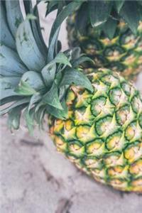 Diet Notebook - Best Notebook with Quotes, Perfect 120 Lined Pages #13