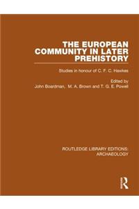 The European Community in Later Prehistory