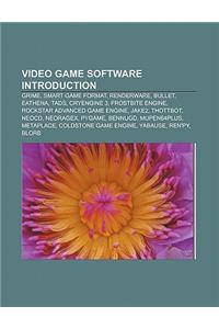 Video Game Software Introduction