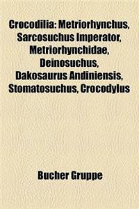 Crocodilia: Metriorhynchus, Sarcosuchus Imperator, Metriorhynchidae, Deinosuchus, Dakosaurus Andiniensis, Stomatosuchus, Crocodylu