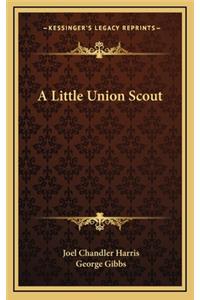 A Little Union Scout