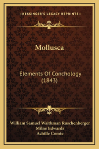 Mollusca