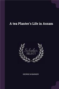 A tea Planter's Life in Assam