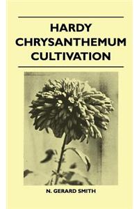 Hardy Chrysanthemum Cultivation