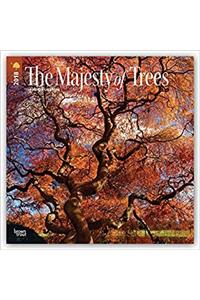 The Majesty of Trees 2018 Calendar