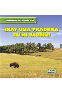 Vivo Cerca de Una Pradera (There Are Grasslands in My Backyard!)