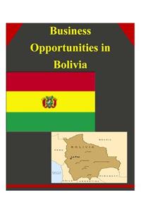 Business Opportunities in Bolivia