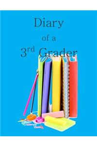 Diary of a 3rd Grader