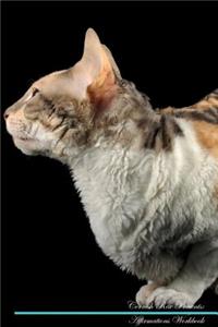 Cornish Rex Affirmations Workbook Cornish Rex Presents