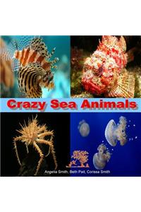 Crazy Sea Animals