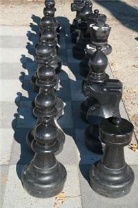 Outdoor Chess Match Game Journal