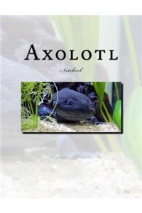 Axolotl Notebook: Notebook with 150 lined pages