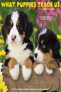 What Puppies Teach Us 2022 Wall Calendar