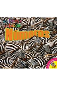 Numeros