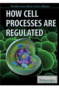 How Cell Processes Are Regulated