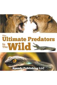 Ultimate Predators In The Wild