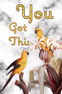 You Got This