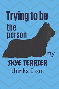 Trying to be the person my Skye Terrier thinks I am