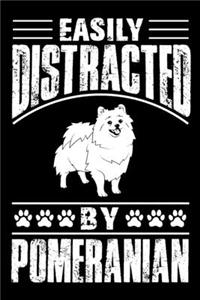 Easily Distracted By Pomeranian