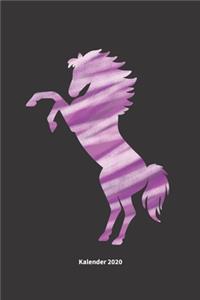 Buntes Pferd