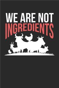 We are not Ingredients