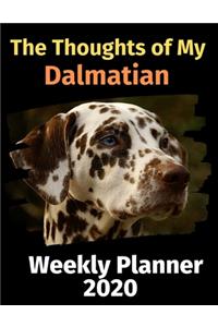 The Thoughts of My Dalmatian